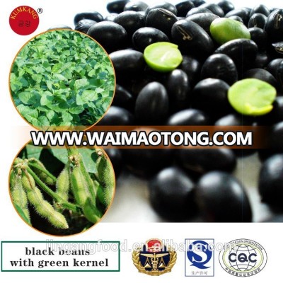 Black beans for sale black bean with green kernel