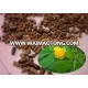 Supply with Top quality cassia seed extract