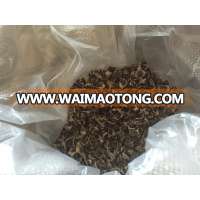 HIGHT QUALITY MORINGA OLEIFERA SEED